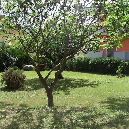 Pier Delle Vigne B&B Pineto Zewnętrze zdjęcie