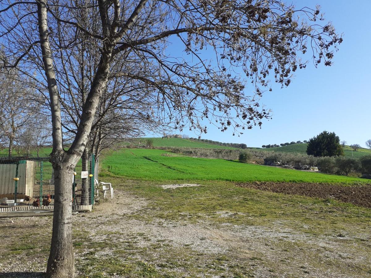 Pier Delle Vigne B&B Pineto Zewnętrze zdjęcie