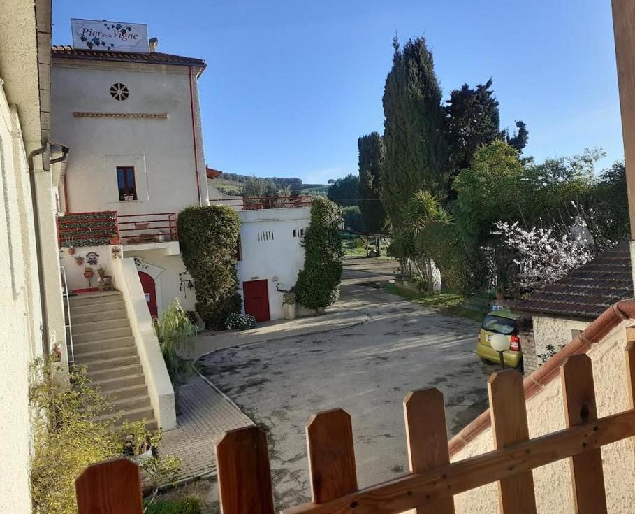 Pier Delle Vigne B&B Pineto Zewnętrze zdjęcie