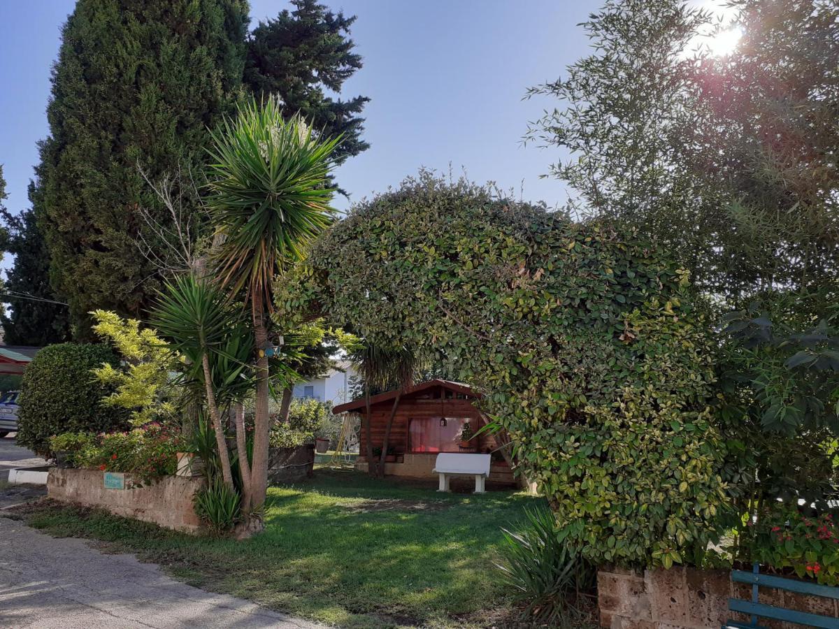 Pier Delle Vigne B&B Pineto Zewnętrze zdjęcie