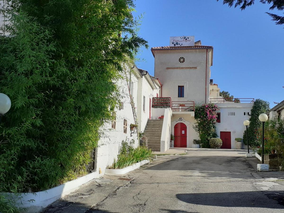 Pier Delle Vigne B&B Pineto Zewnętrze zdjęcie