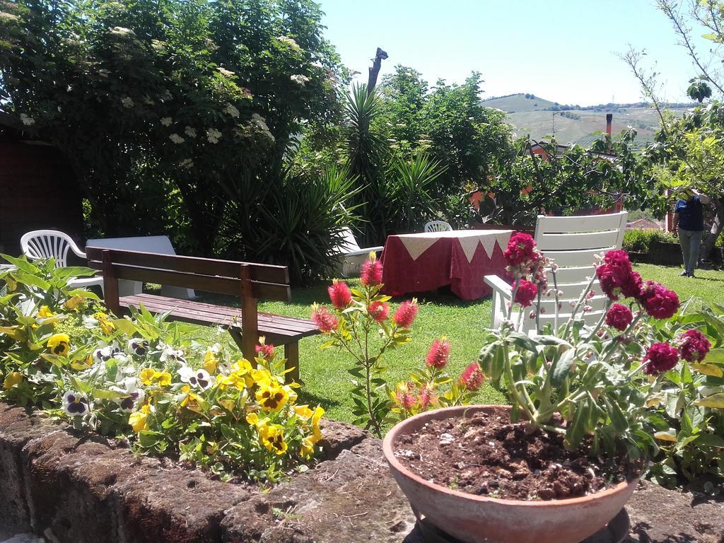 Pier Delle Vigne B&B Pineto Zewnętrze zdjęcie