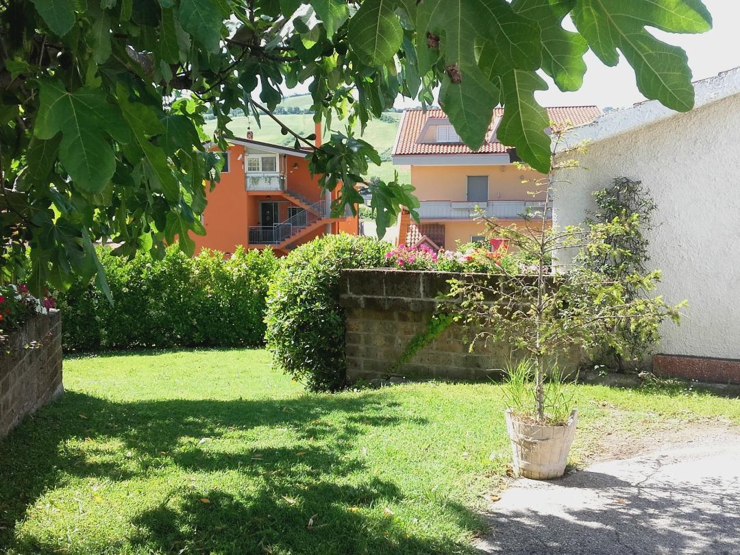 Pier Delle Vigne B&B Pineto Zewnętrze zdjęcie