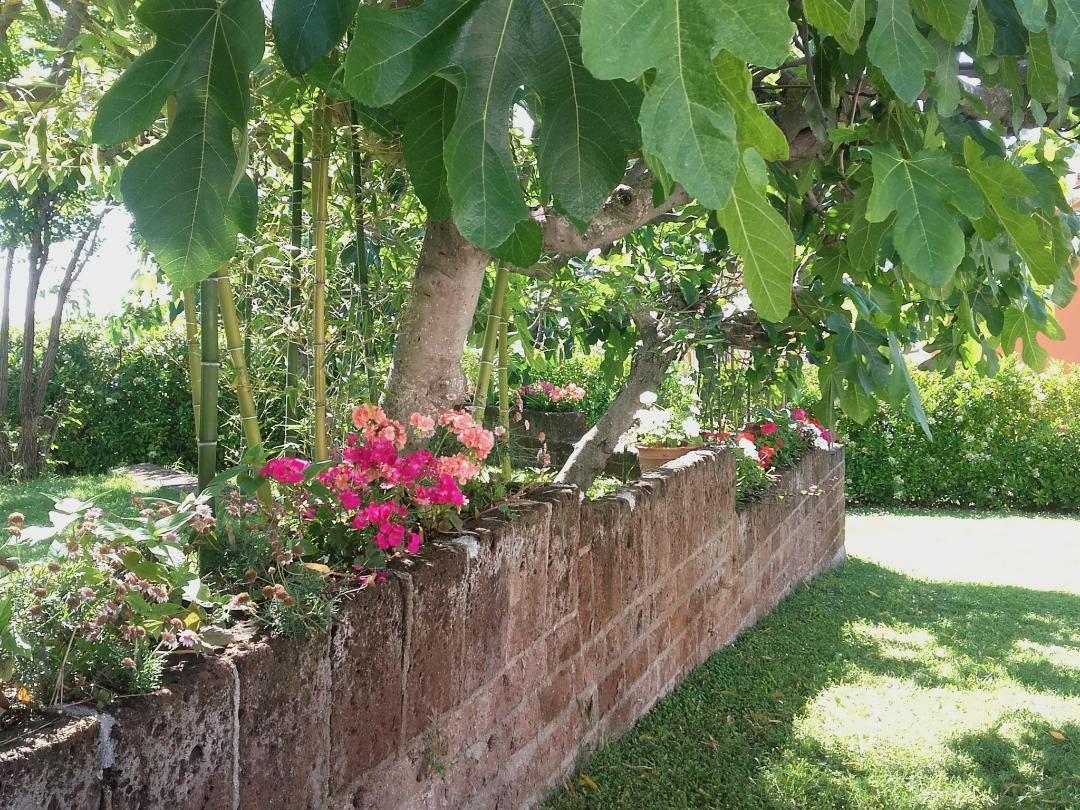 Pier Delle Vigne B&B Pineto Zewnętrze zdjęcie