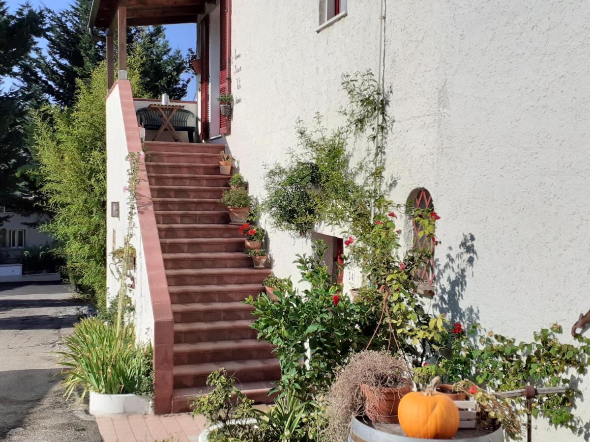 Pier Delle Vigne B&B Pineto Zewnętrze zdjęcie