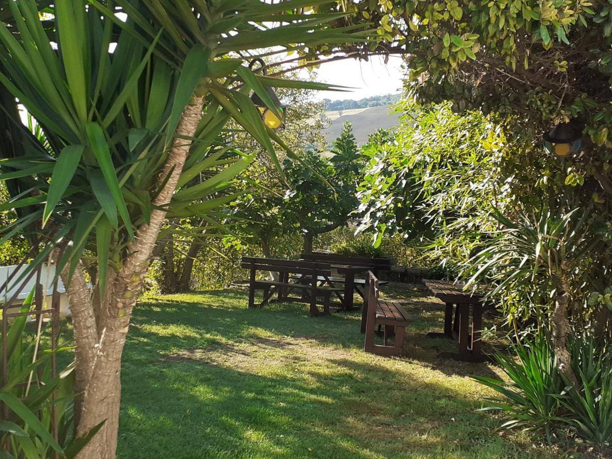 Pier Delle Vigne B&B Pineto Zewnętrze zdjęcie
