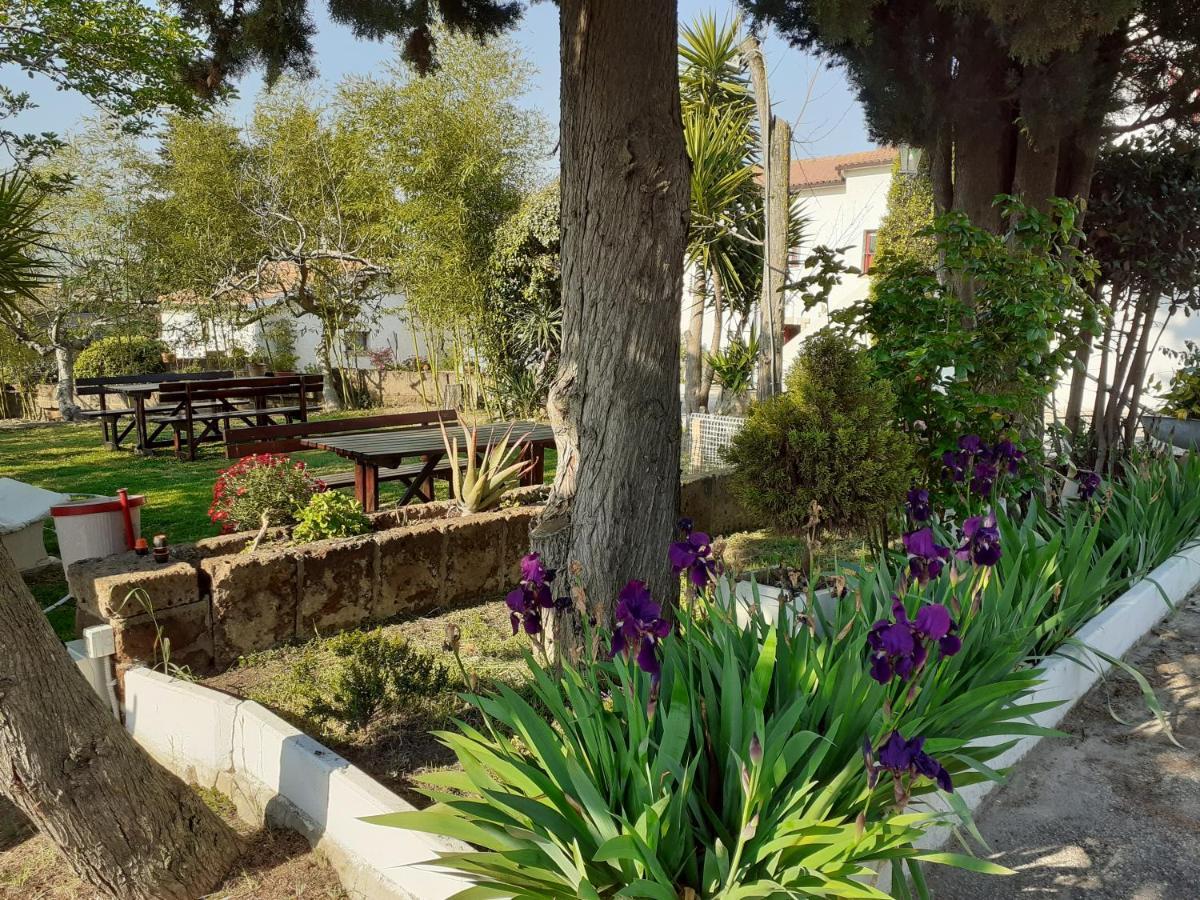 Pier Delle Vigne B&B Pineto Zewnętrze zdjęcie