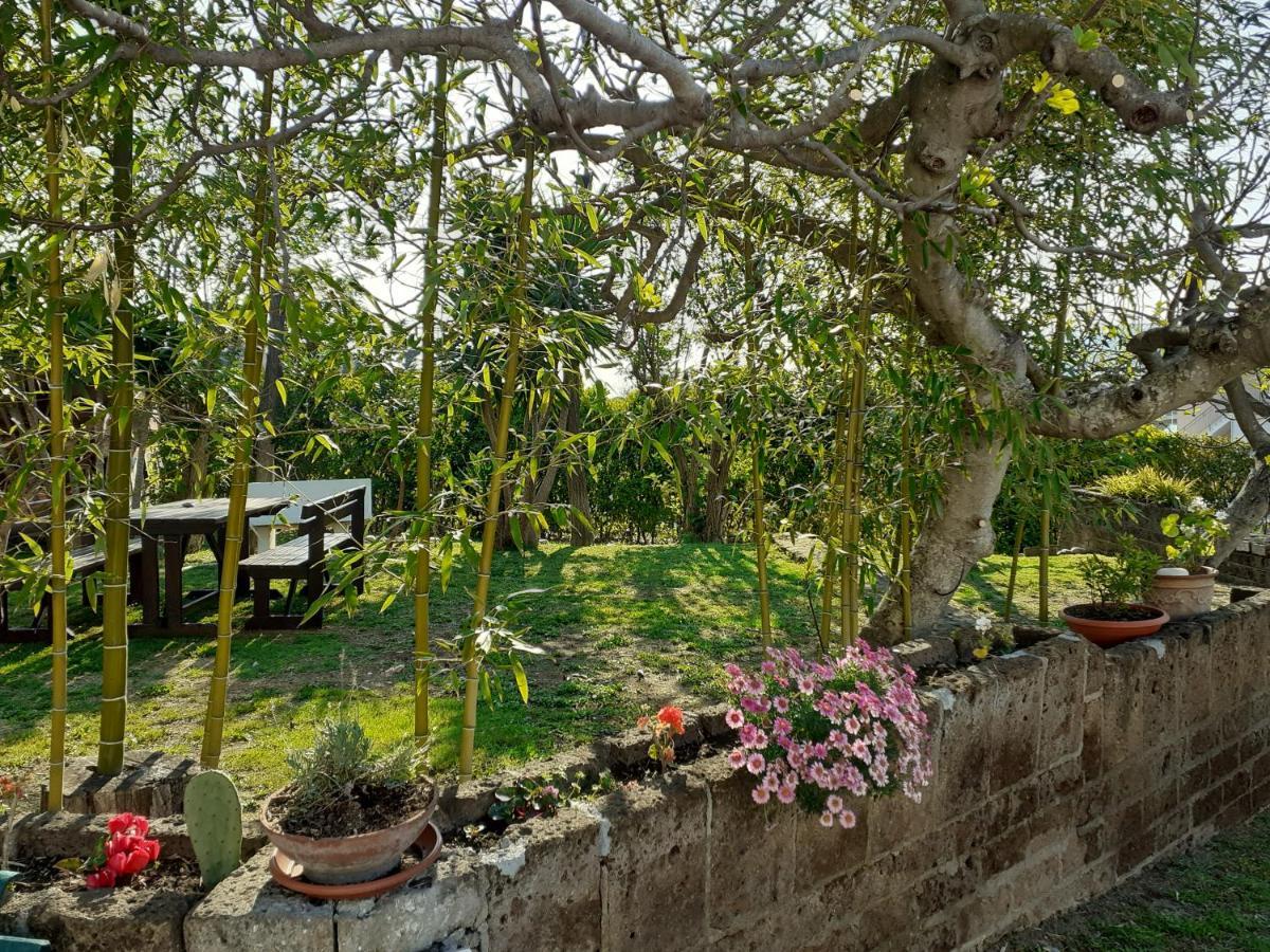 Pier Delle Vigne B&B Pineto Zewnętrze zdjęcie