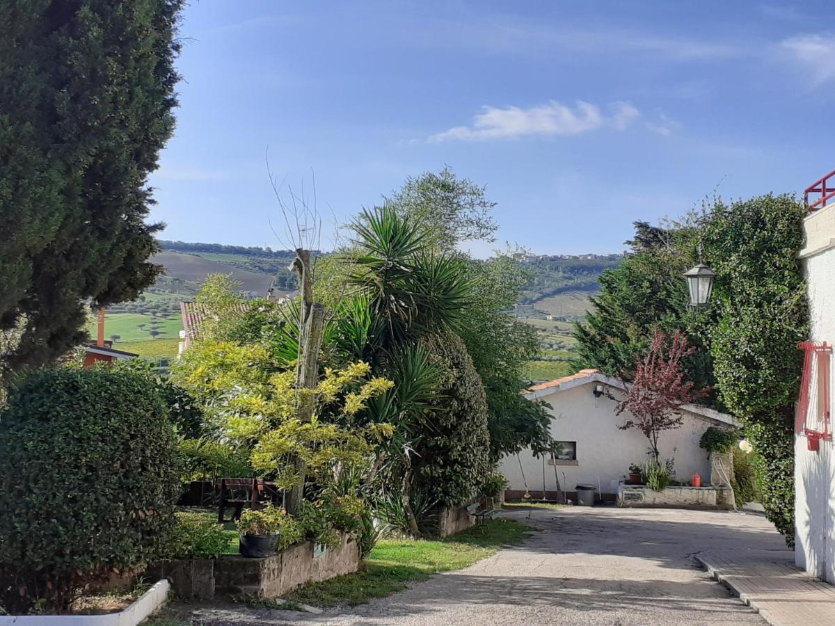Pier Delle Vigne B&B Pineto Zewnętrze zdjęcie