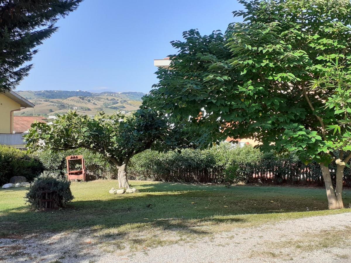 Pier Delle Vigne B&B Pineto Zewnętrze zdjęcie