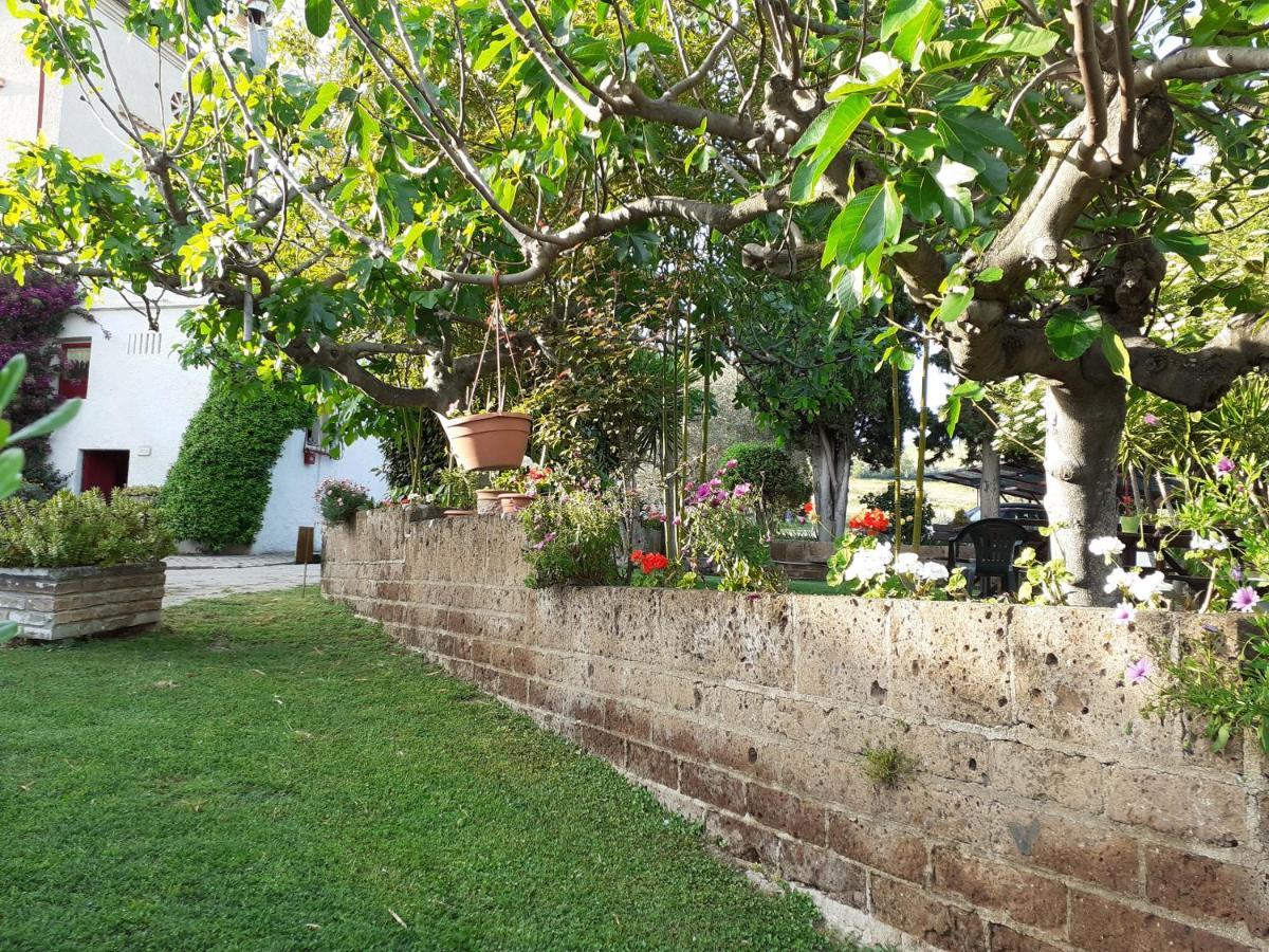 Pier Delle Vigne B&B Pineto Zewnętrze zdjęcie