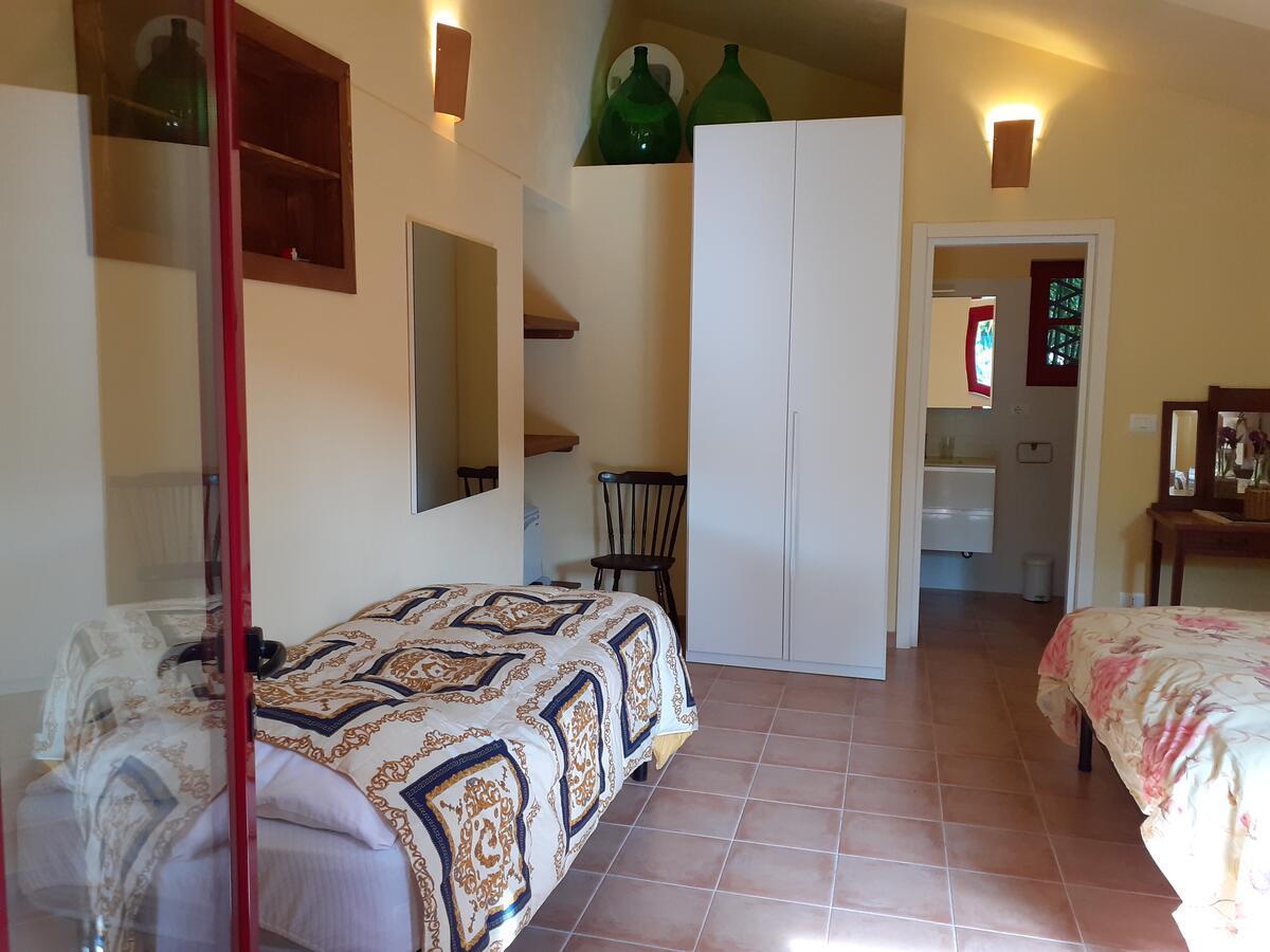 Pier Delle Vigne B&B Pineto Zewnętrze zdjęcie