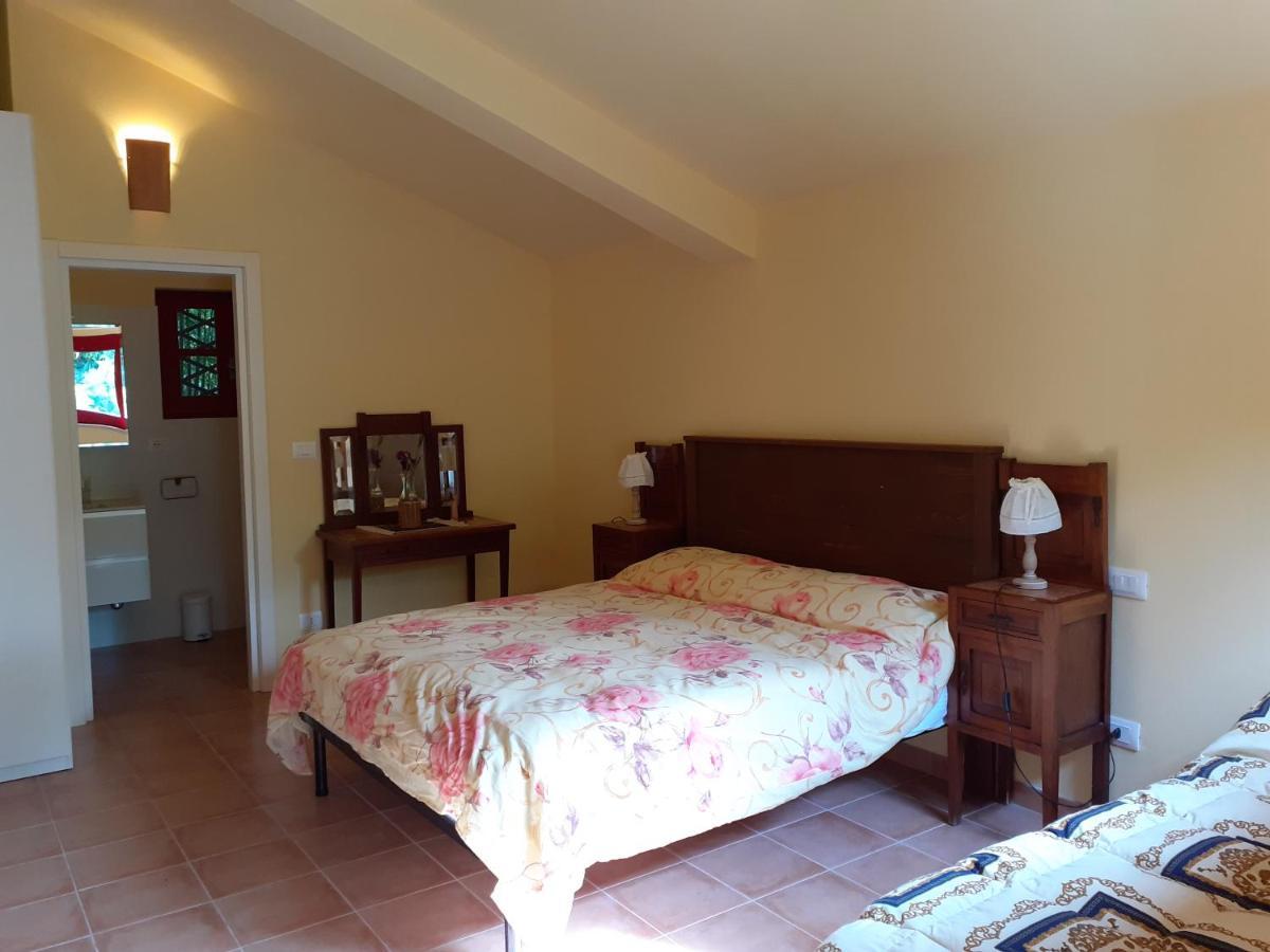 Pier Delle Vigne B&B Pineto Zewnętrze zdjęcie