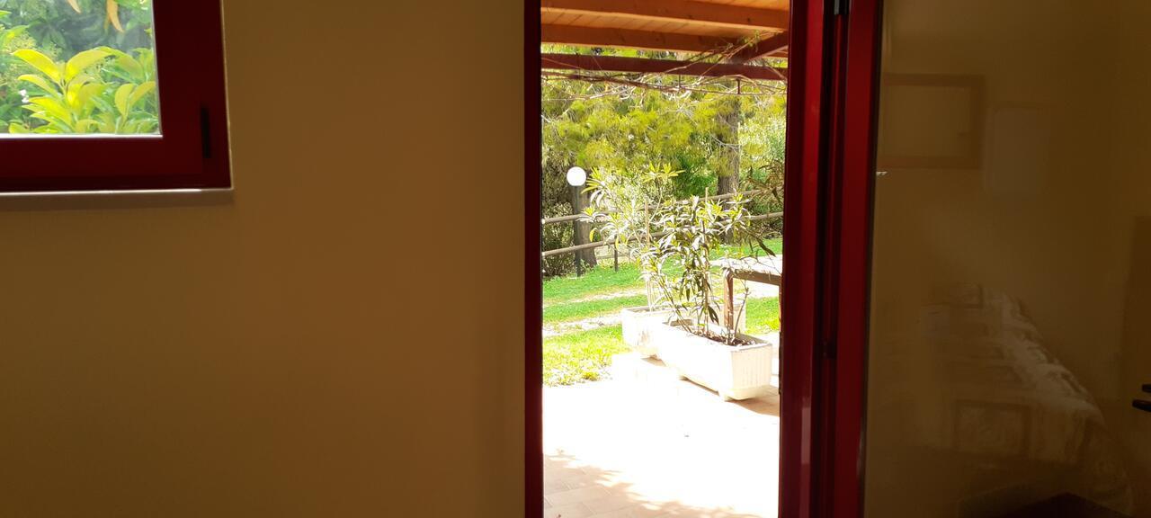 Pier Delle Vigne B&B Pineto Zewnętrze zdjęcie