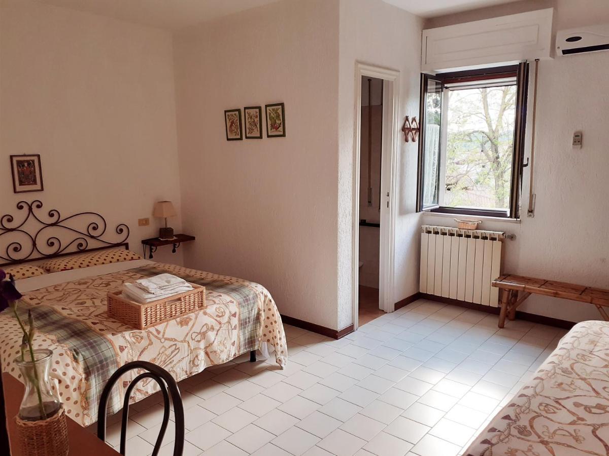 Pier Delle Vigne B&B Pineto Zewnętrze zdjęcie