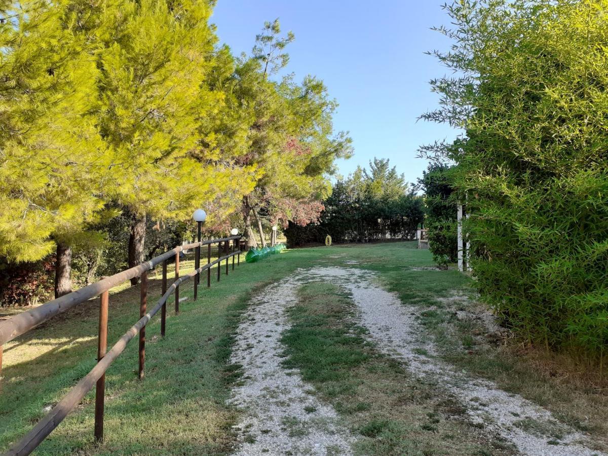 Pier Delle Vigne B&B Pineto Zewnętrze zdjęcie