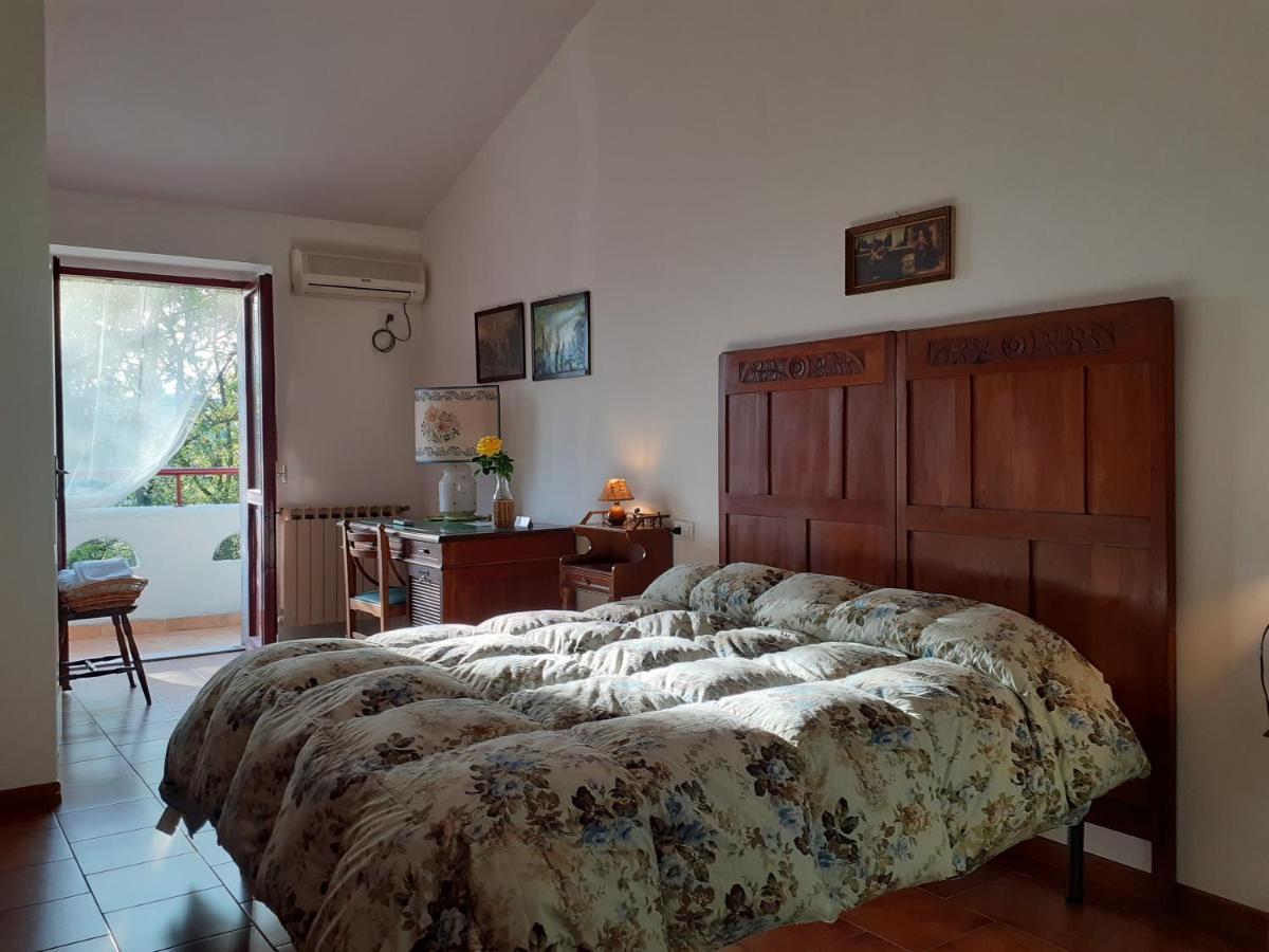 Pier Delle Vigne B&B Pineto Zewnętrze zdjęcie