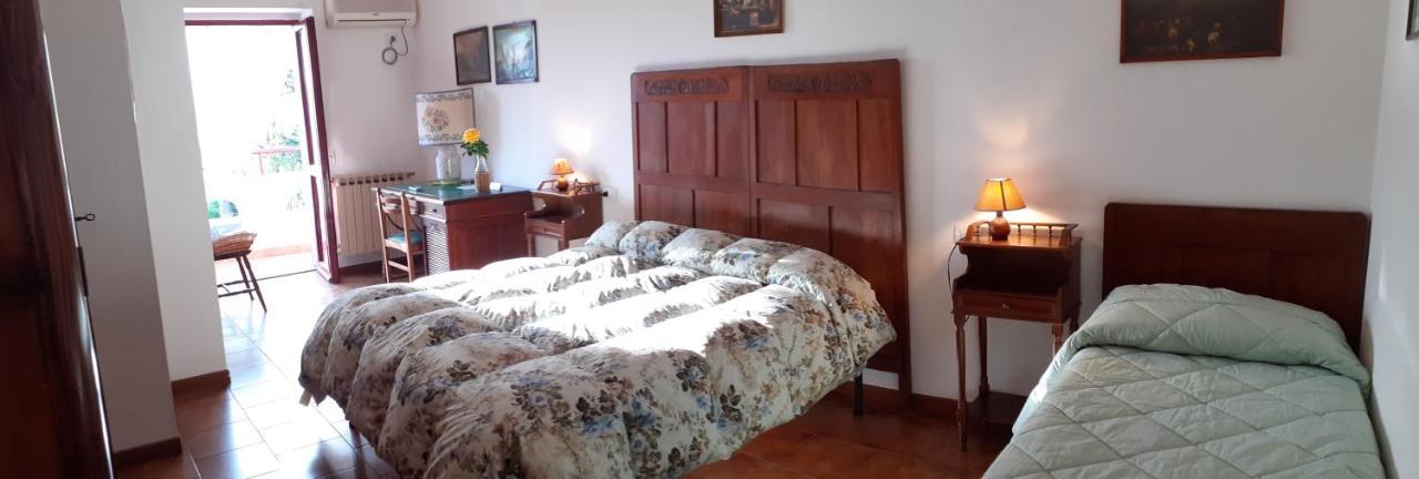Pier Delle Vigne B&B Pineto Zewnętrze zdjęcie